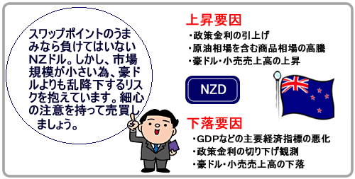 ＮＺドルの特徴